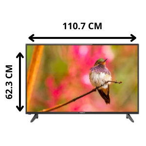 Xion Smart TV 50 Polegadas 